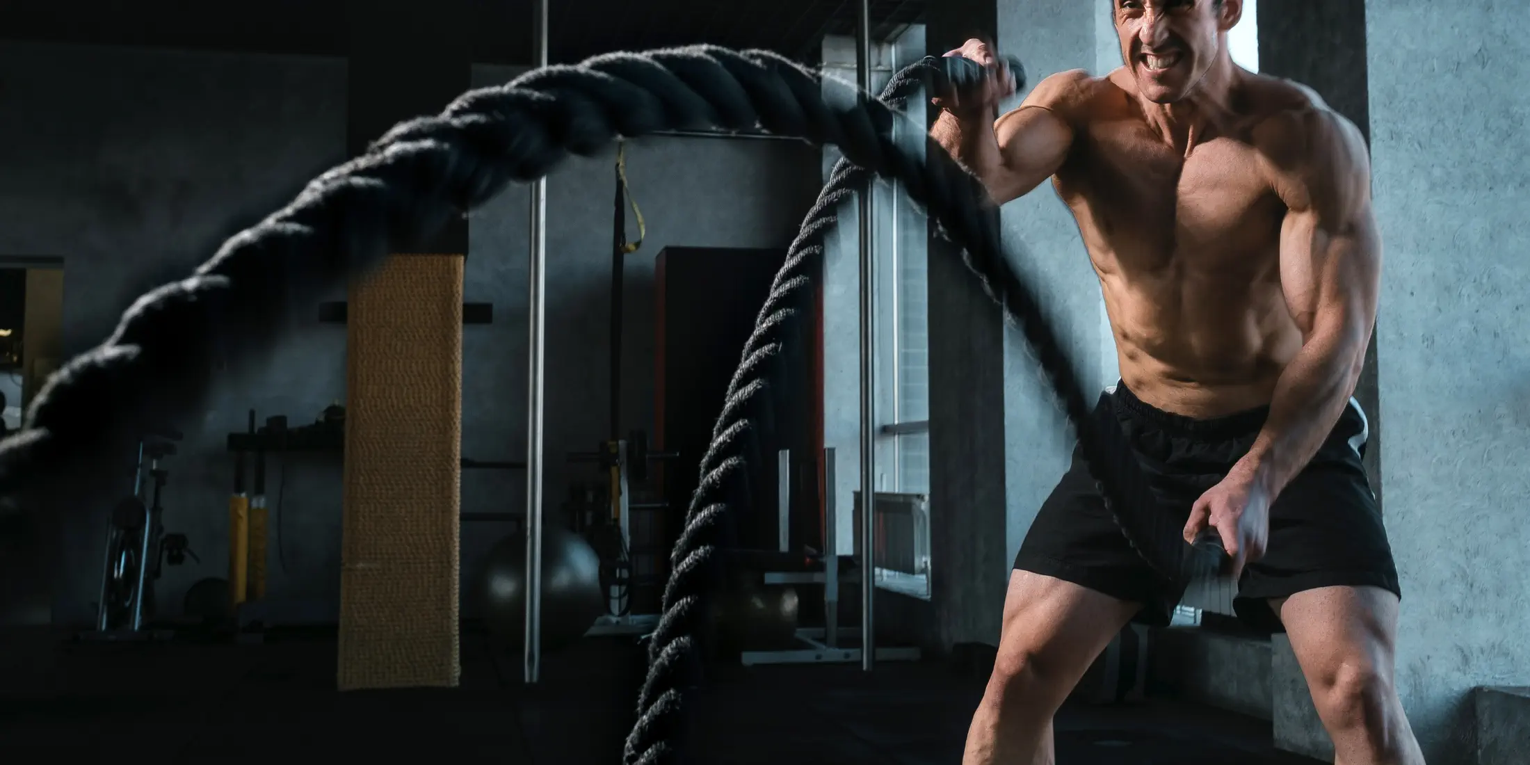 Orbit Web App for fitness and wellness businesses